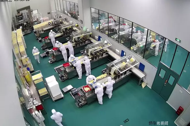 china customer model dpp 260h blister packing machine1