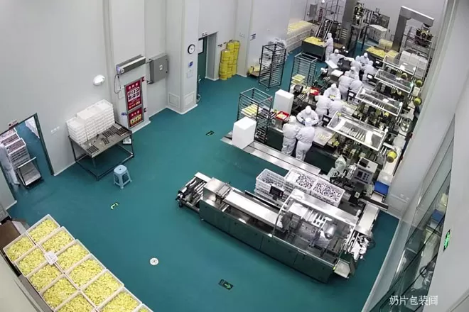 china customer model dpp 260h blister packing machine3